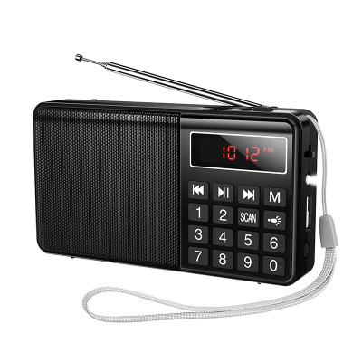 Портативне радіо Veron PR30