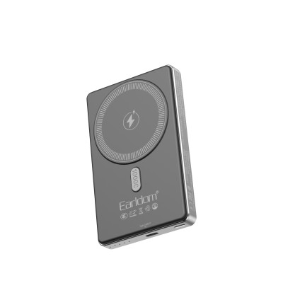Power Bank 10000 mAh &mdash; Earldom ET-PD49